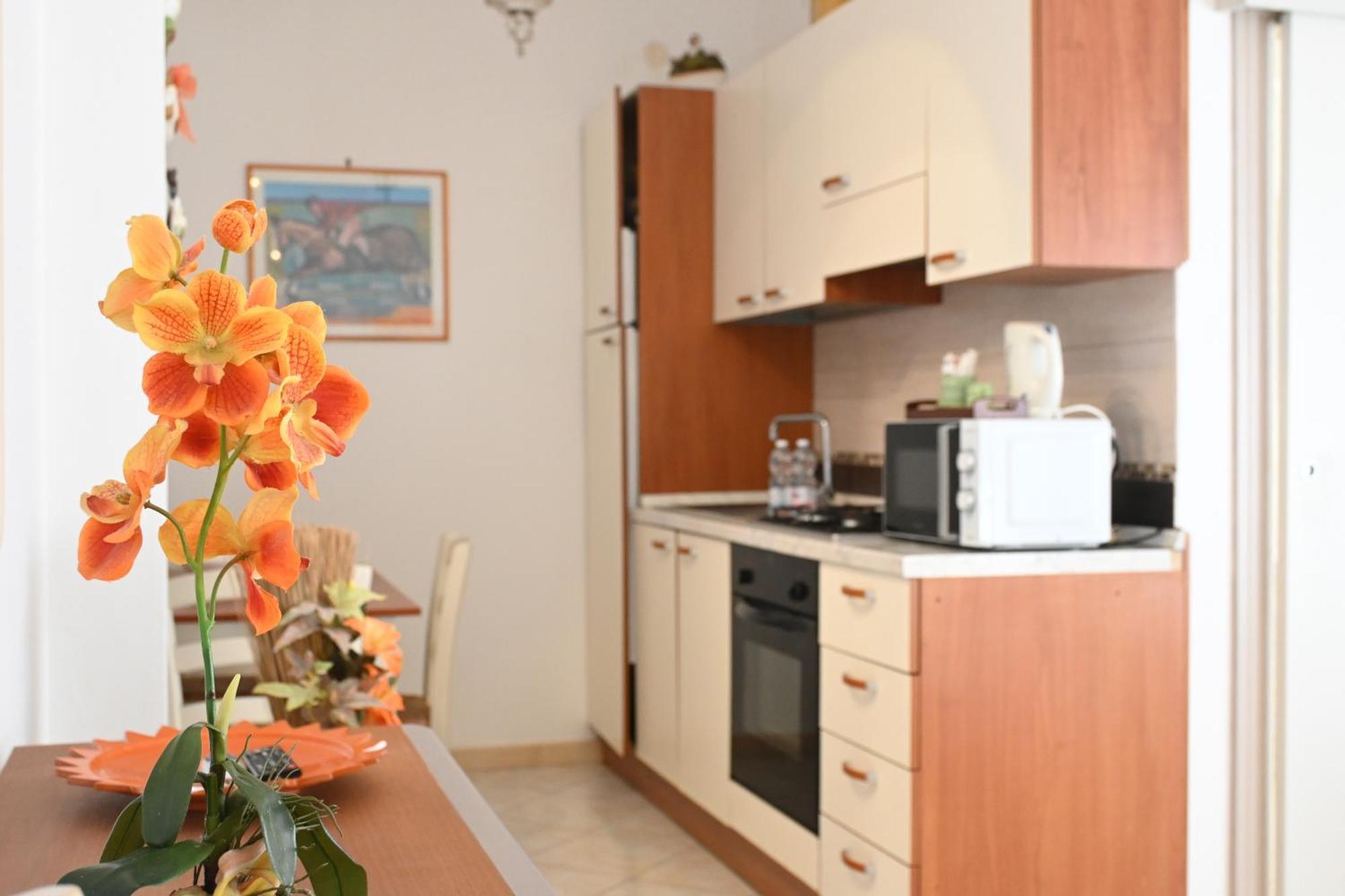 La Mimosa Ξενοδοχείο Bolgheri Εξωτερικό φωτογραφία